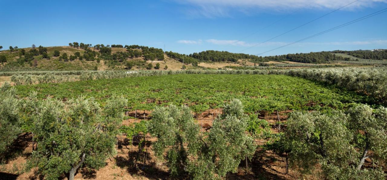 Agriturismo Posta Pastorella 비에스테 외부 사진