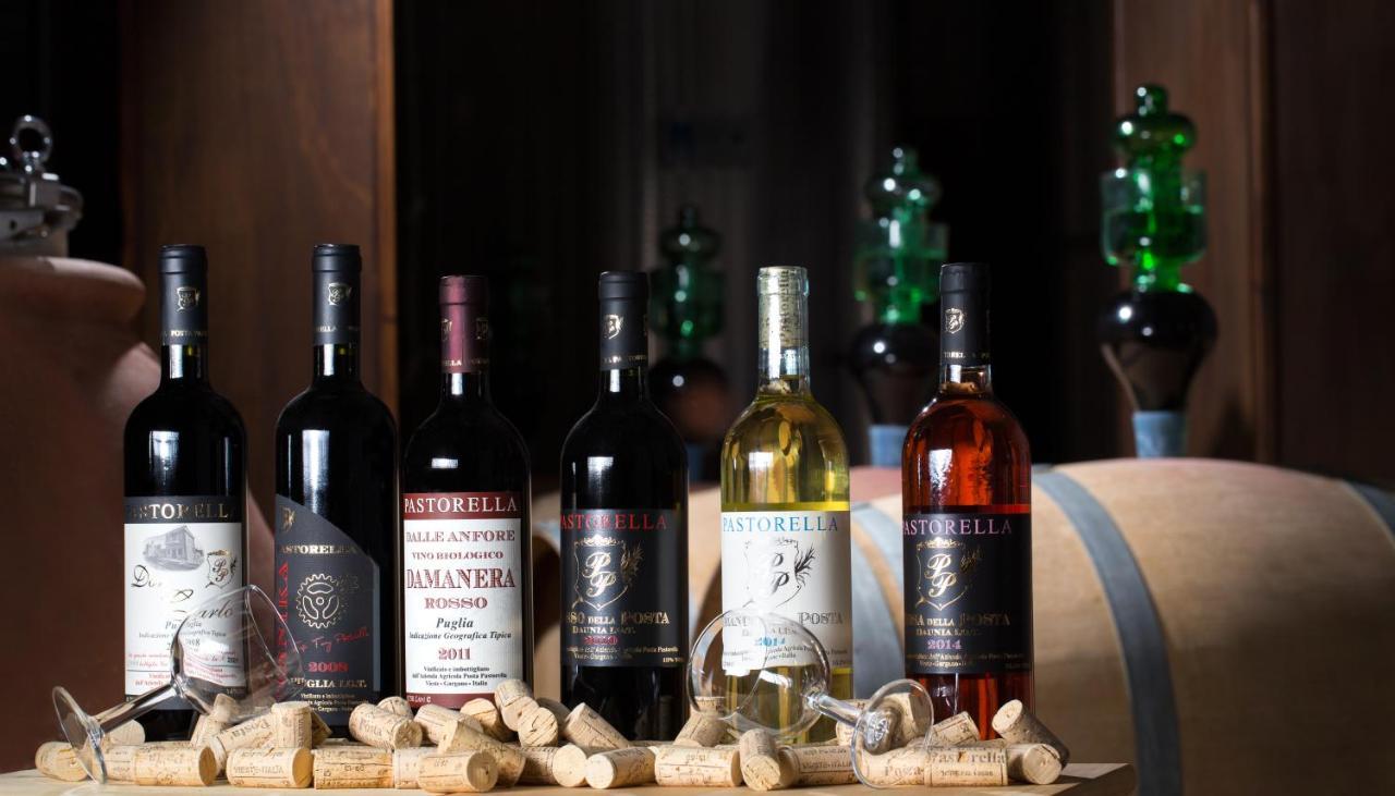 Agriturismo Posta Pastorella 비에스테 외부 사진