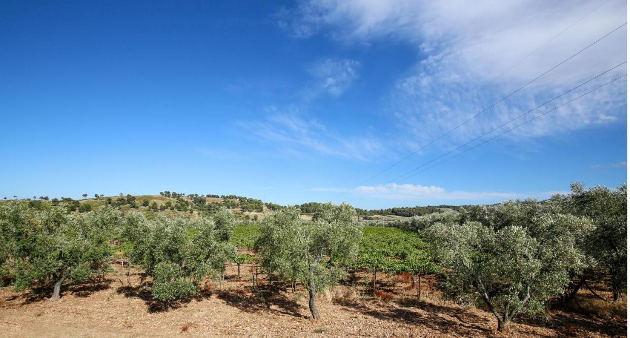 Agriturismo Posta Pastorella 비에스테 외부 사진