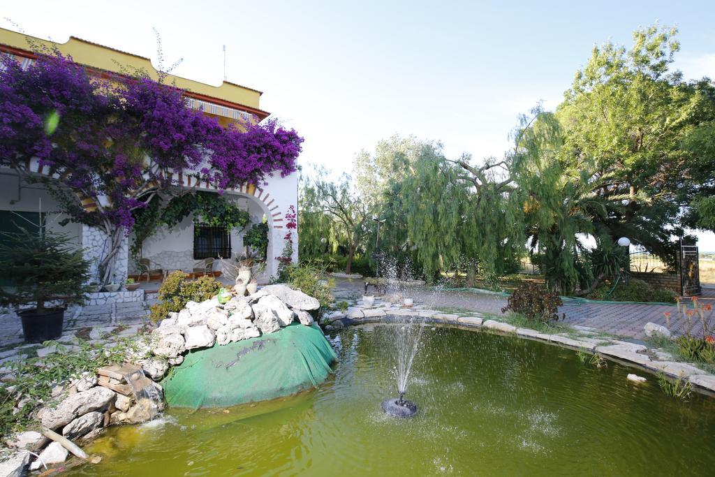 Agriturismo Posta Pastorella 비에스테 외부 사진