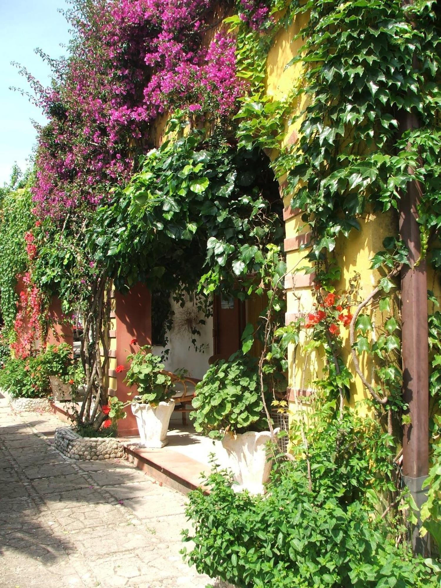 Agriturismo Posta Pastorella 비에스테 객실 사진