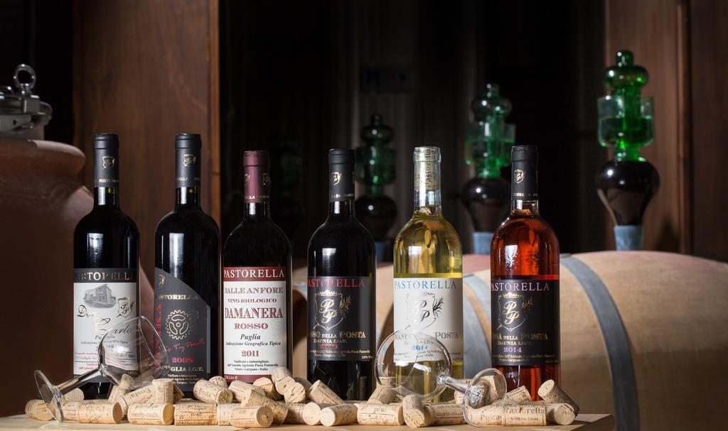 Agriturismo Posta Pastorella 비에스테 외부 사진